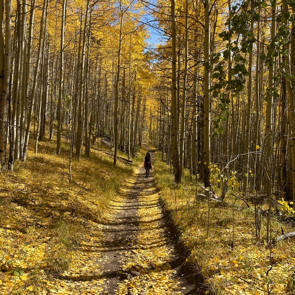 Meet your Posher, Kimbra - Picture 2 of 3